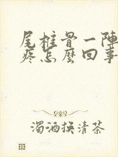 尾椎骨一阵一阵疼怎么回事封面