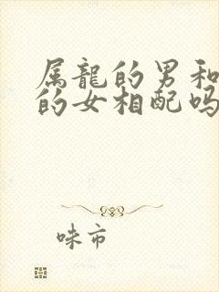 属龙的男和属猴的女相配吗