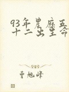 93年农历五月十二出生命运封面