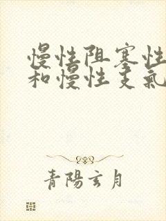 慢性阻塞性肺病和慢性支气管炎一样吗