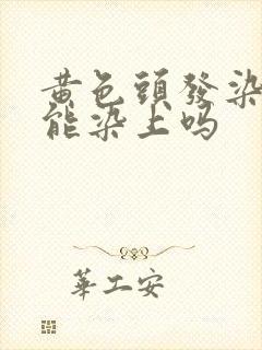 黄色头发染黑色能染上吗