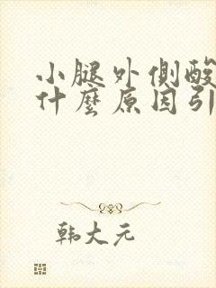 小腿外侧酸胀痛什么原因引起的