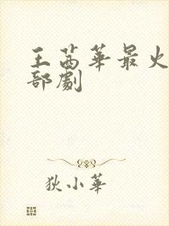 王茜华最火的三部剧