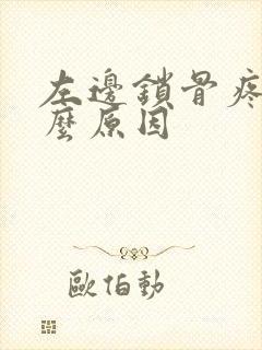 左边锁骨疼痛什么原因