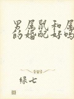 男属鼠和属龙女的婚配好吗