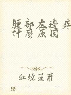 腹部左边疼痛是什么原因