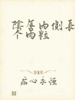 阴唇内侧长了两个肉粒