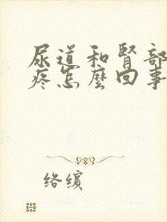 尿道和肾部有点疼怎么回事