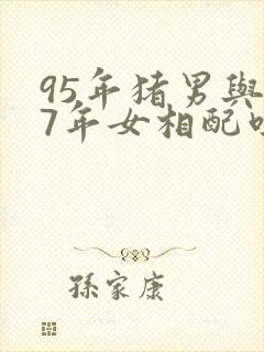 95年猪男与97年女相配吗