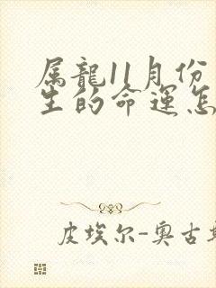 属龙11月份出生的命运怎么样封面