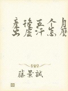 产后五个月了老出虚汗怎么办封面