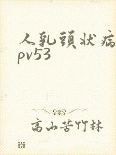 人乳头状病毒hpv53