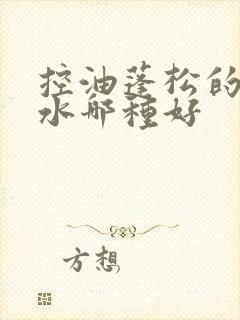 控油蓬松的洗发水哪种好