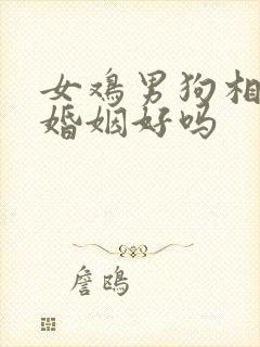 女鸡男狗相配的婚姻好吗