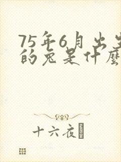 75年6月出生的兔是什么命