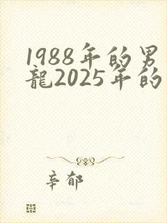 1988年的男龙2025年的运势会怎么样