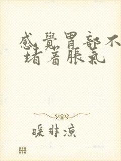 感觉胃部不消化 堵着胀气