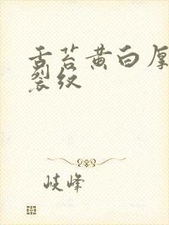 舌苔黄白厚腻有裂纹