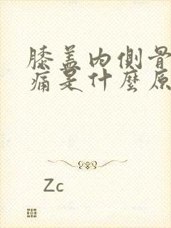 膝盖内侧骨头疼痛是什么原因封面