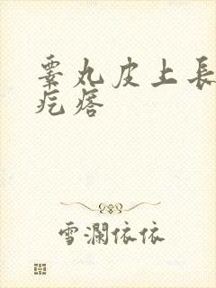 睾丸皮上长个小疙瘩