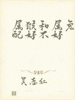 属猴和属兔的婚配好不好封面