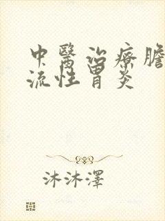 中医治疗胆汁返流性胃炎封面