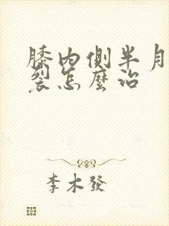 膝内侧半月板撕裂怎么治封面