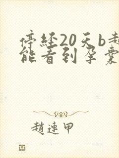 停经20天b超能看到孕囊吗