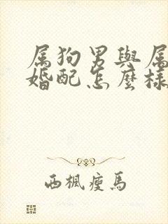 属狗男与属鼠女婚配怎么样