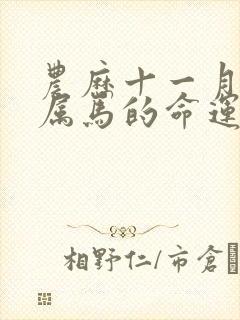 农历十一月出生属马的命运如何