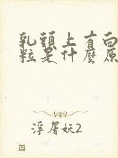 乳头上有白色颗粒是什么原因