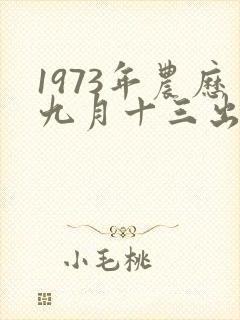 1973年农历九月十三出生命运