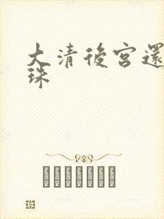 大清后宫还君明珠封面