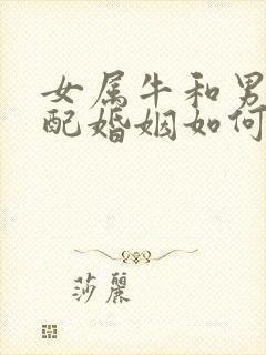 女属牛和男龙相配婚姻如何封面