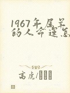 1967年属羊的人命运怎么样