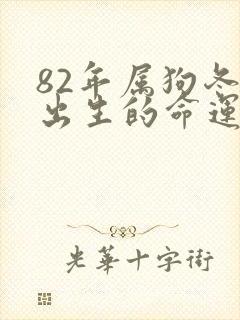 82年属狗冬月出生的命运封面