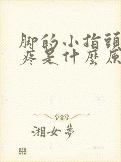 脚的小指头关节疼是什么原因