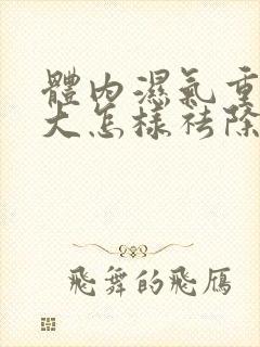 体内湿气重肚子大怎样祛除