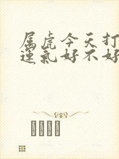 属虎今天打麻将运气好不好呀