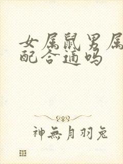 女属鼠男属龙婚配合适吗封面