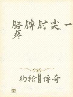 胳膊肘尖一按就疼封面