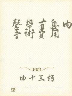 声带有息肉全麻手术费用