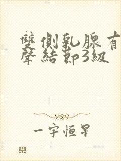 双侧乳腺有低回声结节3级