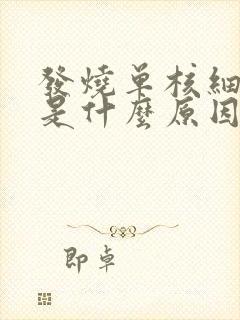 发烧单核细胞高是什么原因