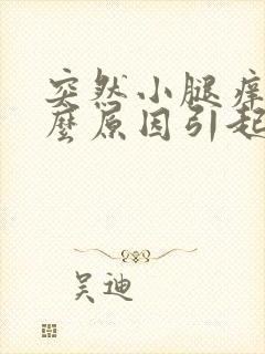 突然小腿痒是什么原因引起的