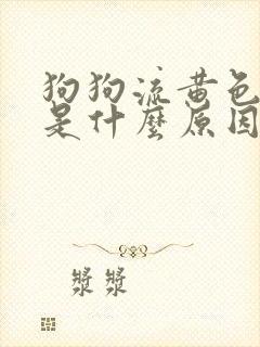 狗狗流黄色鼻涕是什么原因