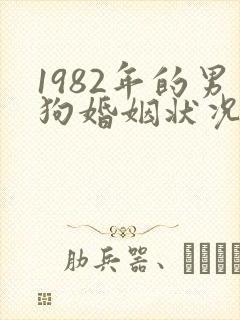 1982年的男狗婚姻状况及命运