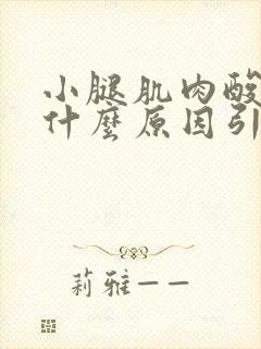 小腿肌肉酸胀痛什么原因引起的