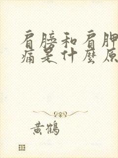 肩膀和肩胛骨疼痛是什么原因