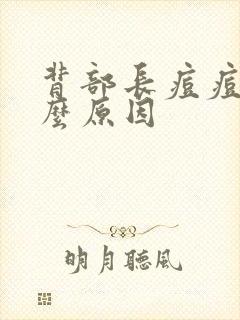 背部长痘痘是什么原因